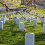 The Cemetery of Dreams