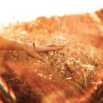 How Quickly Can You Recover from Hurt?