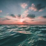 Noah’s Ark—Not a Bedtime Story